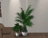 White Vase Plants