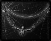 🕸️