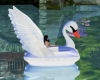 Swan Paddle Boat