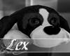 LEX - Cuddle dog rug