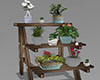 Beach Plant Stand
