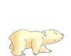 Animated lil Polar Bear