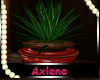 AXLLge potted plant
