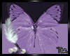 ^TR* Animated Butterflie