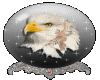 native eagle globe