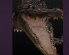 Crocodile Loading Ghost Fun Funny Pet Pets Animal