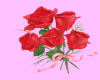 HB-Half Dozen Red Roses