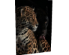 ounce cutout