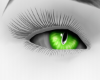 Evil Eye Green