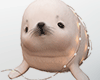 Harp Seal