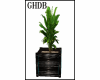 GHDB Blk/Teal Planter