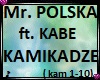 Mr. Polska - Kamikadze