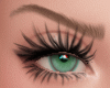 Hadid Latte Brows