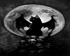 skully bat cat