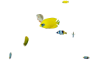 Matth Fish