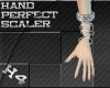 !H4!Hand Perfect Scaler