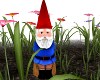 Mr. Garden Gnome