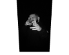 drake