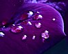 ©CEXP Purple Petal