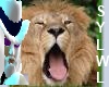 Yawning Lion Pin