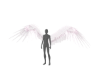 EU Animated Pegasus Wing
