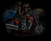 !Rae Harley Davidson