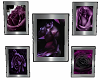 5 frame purple rose