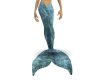 (CS)Ani Mermaid Tail