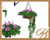 Hanging Plant With Flowe