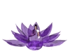 purple aura flower 