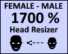 Head Scaler 1700%