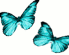 [E]*BlueButterflies*
