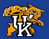 Kentucky Wildcat Ring