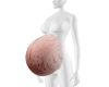 Preggo Stretchmarks 7