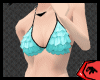Turquoise Black Bikini