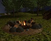 Campfire W/Marshmellows