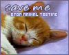 Stop Animal Testing