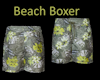 Beach Boxer