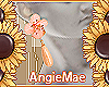 AM* Shaiel Earrings