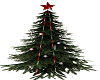 (TR) Christmas Tree 1