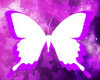 ::Purple Dj light::