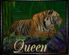 !Q Jungle Animated Tiger