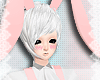 [An] BiG , Pink Bunny