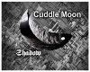 Romantic Cuddle Moon