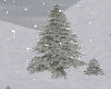 Gig-Snow Pine Tree