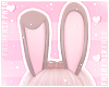 F. Bunny Ears Cake