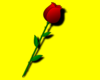 ARTIFICIAL RED ROSE