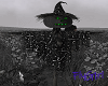 FG~ Halloween Scarecrow