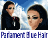 Parlement Blue Hair