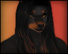G|Hair 06 M Doberman